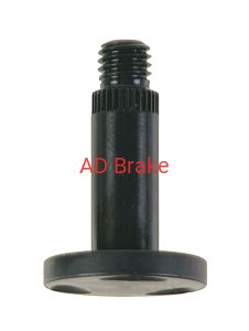 SW-0012 Sworzeń zacisku hamulca postojowego 10mm BOSCH
